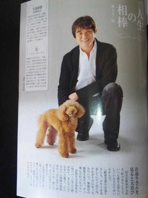 画像を等倍で表示します 画像